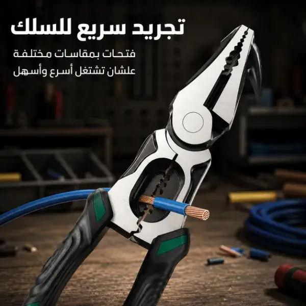 رأس مطرقة